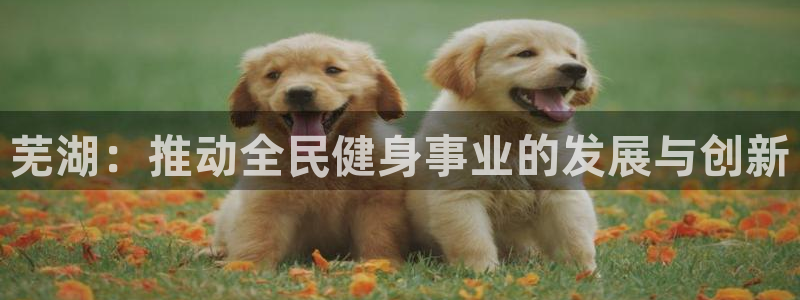 尊龙现金一下S选来就送38