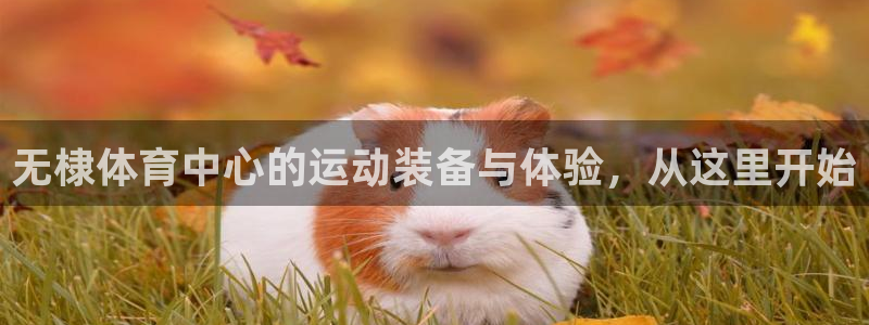 尊龙d88官网确来就送38