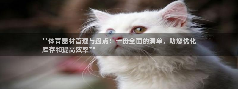 凯时赢来就送38：**体育器材管理与盘点：一份全面的清单，助
