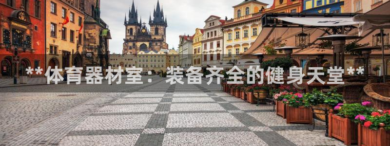 尊龙官网APP下载：**体育器材室：装备齐全的健身天