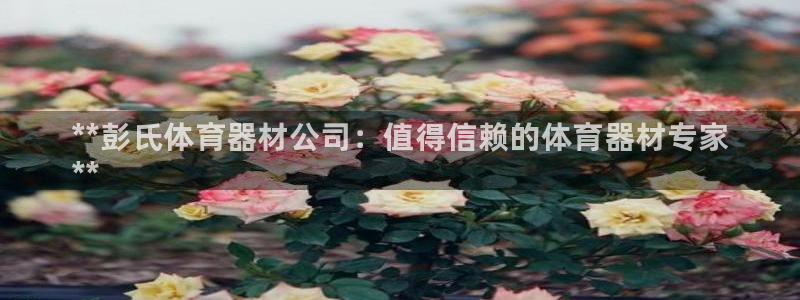 尊龙人生就是博登录准认来就送38：**彭氏体育器材公