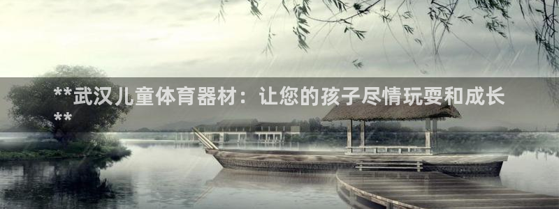 国际凯时ag优质运营商：**武汉儿童体育器材：让您的孩子尽情