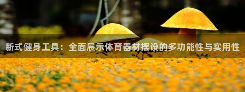 尊龙官方平台：新式健身工具：全面展示体育器材摆设的多功能性与