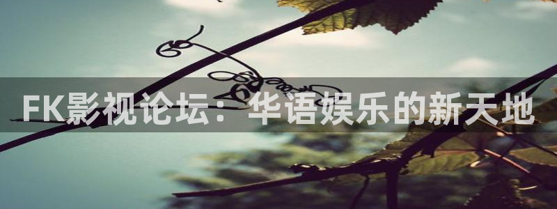 蜂鸟影院影视大全：FK影视论坛：华语娱乐的新天地
