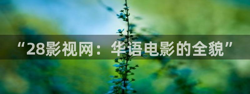 蜂鸟影院观看：“28影视网：华语电影的全貌”