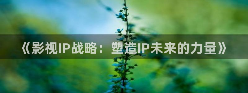 蜂鸟影院影视大全：《影视IP战略：塑造IP未来的力量》