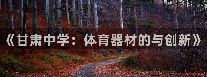 尊龙l1500：《甘肃中学：体育器材的与创新》
