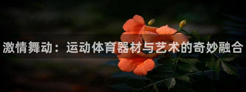 尊龙凯时家居是品牌吗：激情舞动：运动体育器材与艺术的