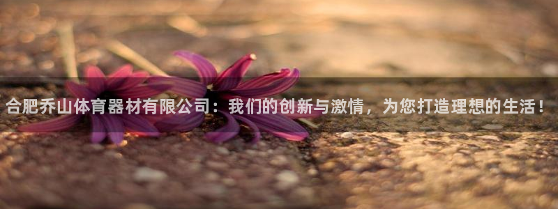 尊龙信息科技有限公司：合肥乔山体育器材有限公司：我们