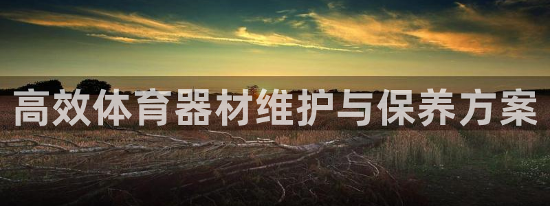 尊龙凯时集团：高效体育器材维护与保养方案